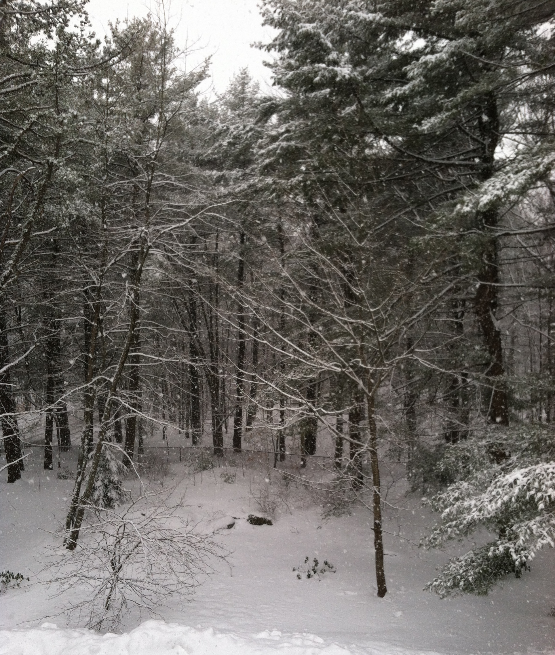 Snow globe Cropped 2015