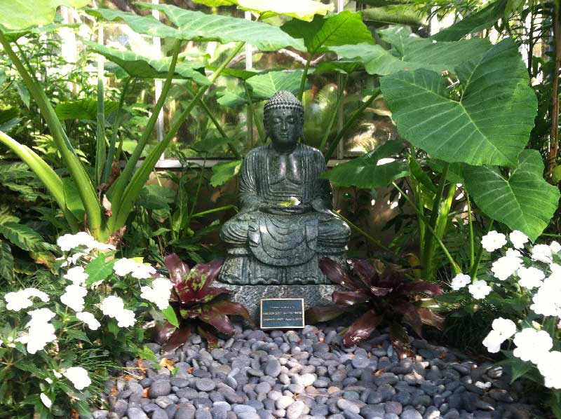 Buddha in Sarasota
